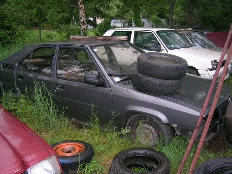 dscn7311.jpg