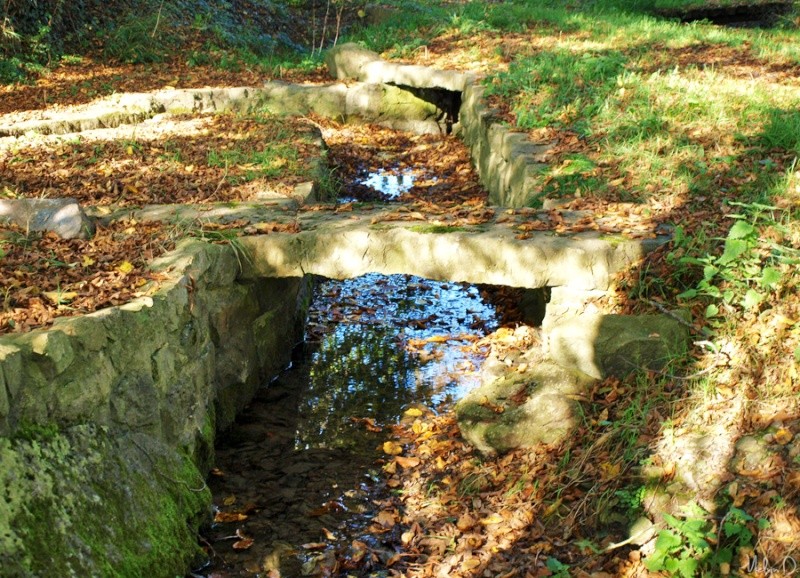 Image hébergée par servimg.com