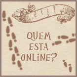Quem está conectado