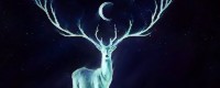 (Cerf royal +300, v+200) (Cerf royal +300, v+200)