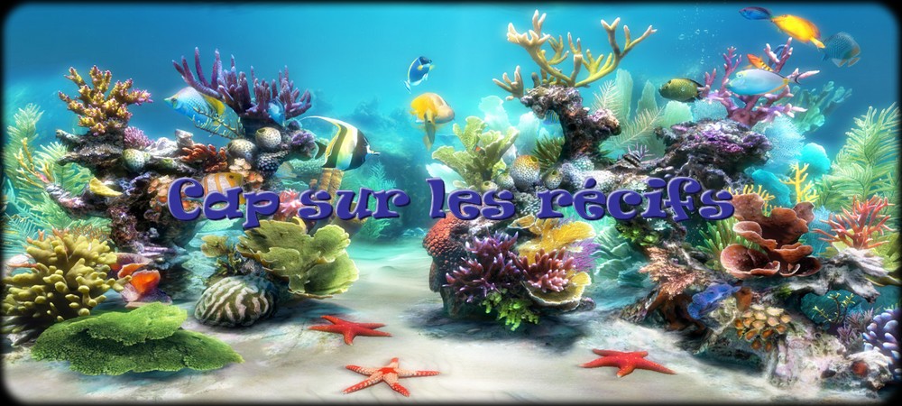 Cap sur les récifs