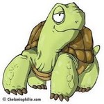 Forum tortues...Cliques ICI pour découvrir tous les sujets...