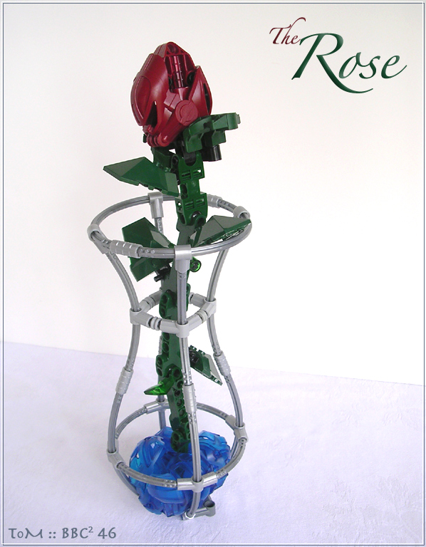 rose0110.jpg