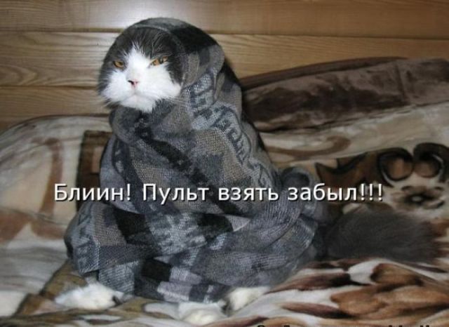 http://i59.servimg.com/u/f59/15/99/40/99/32187810.jpg