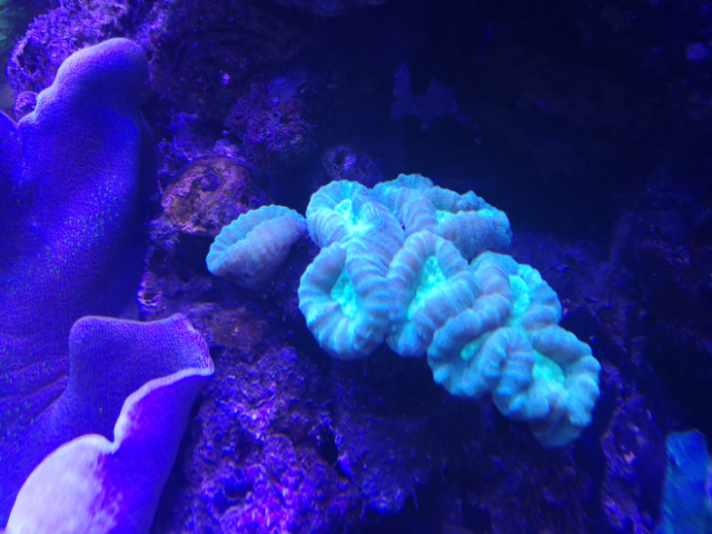 img_2025.png