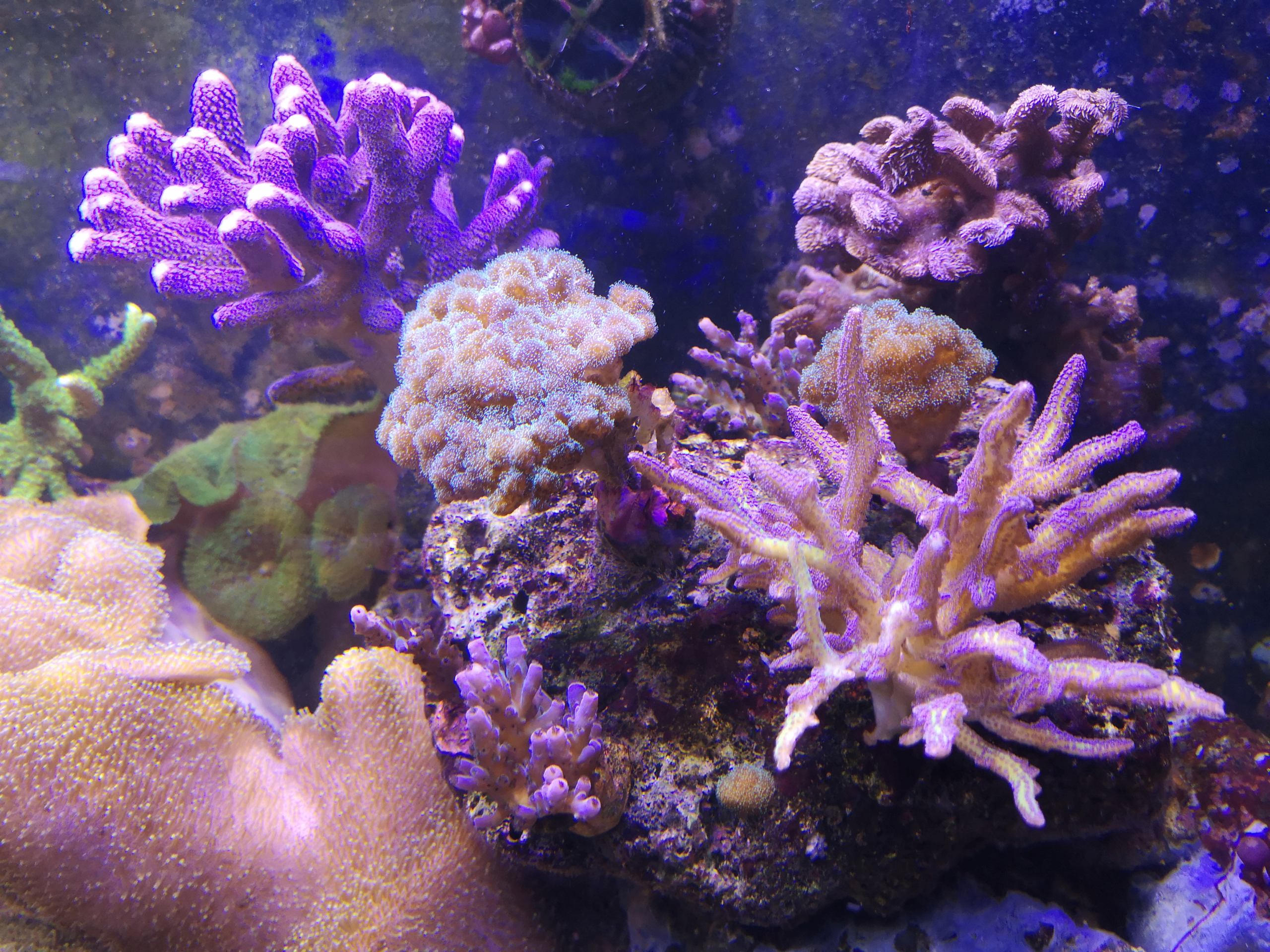 img_2067.jpg