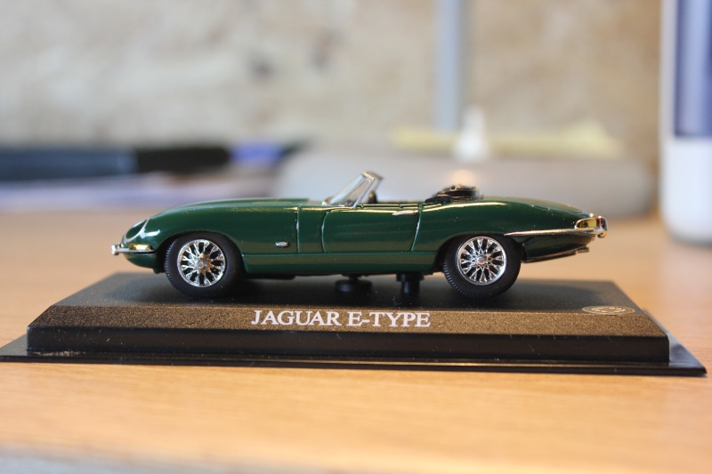jaguar32.jpg